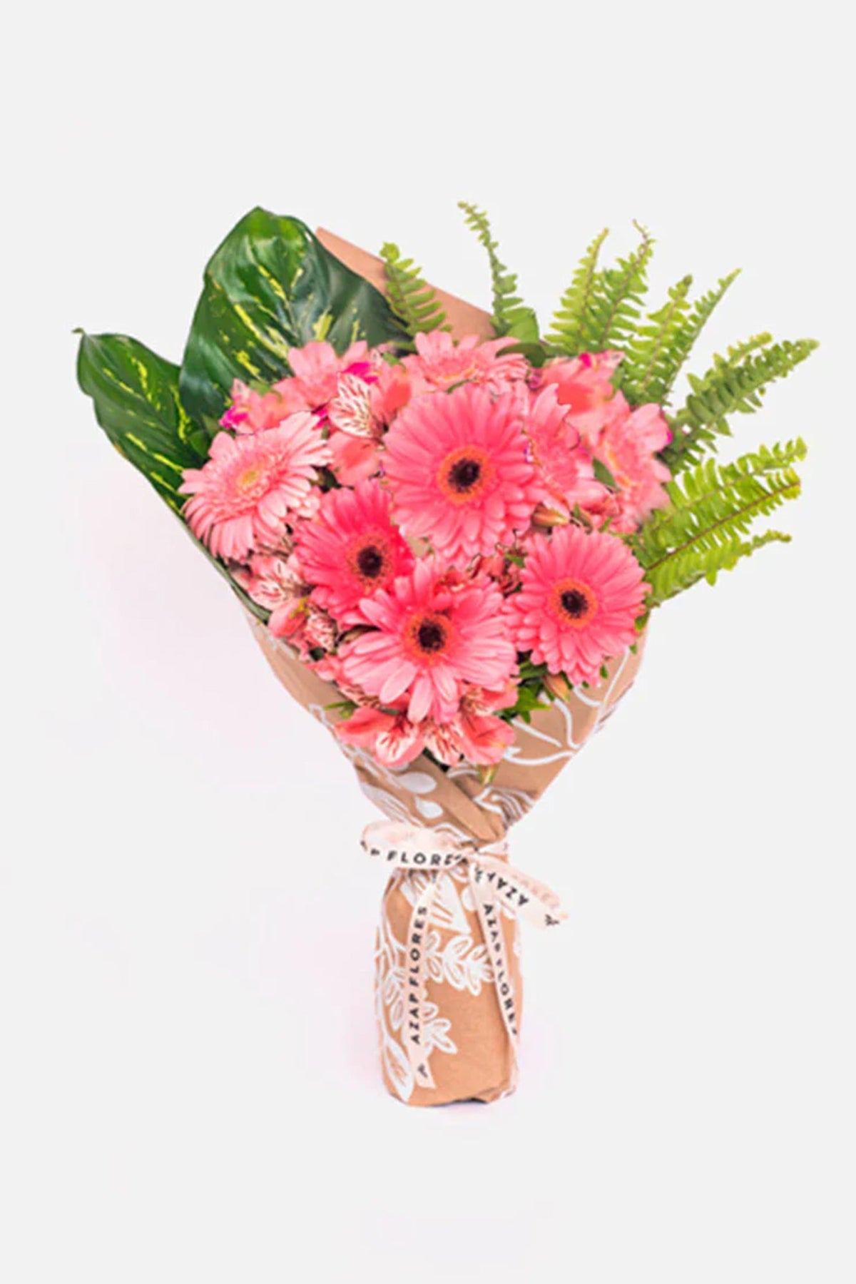 Inocencia - Gerbera Rosa TGZ