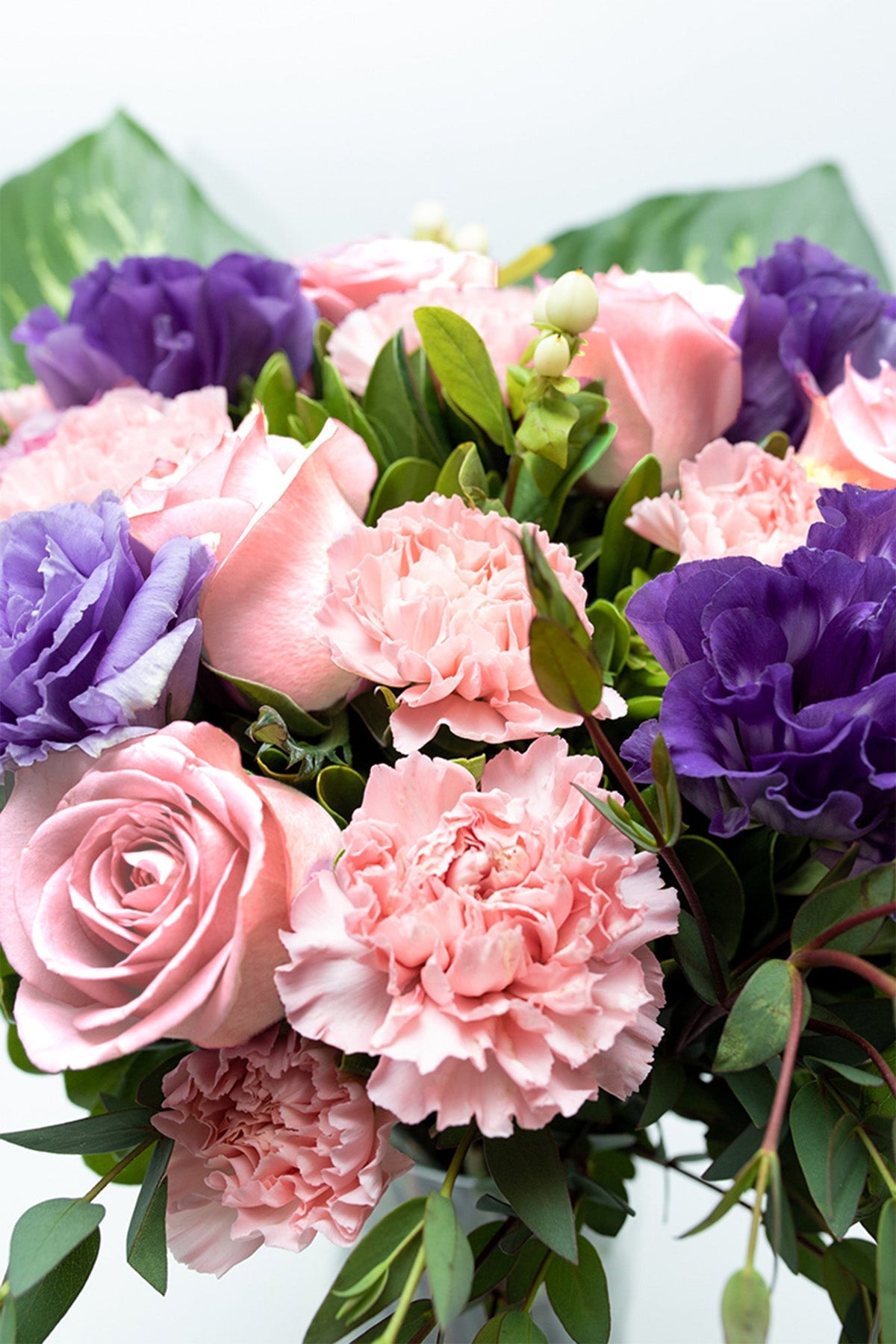 Amor Bonito - Rosa Clarita, Clavel Rosa y Lisianthus TGZ