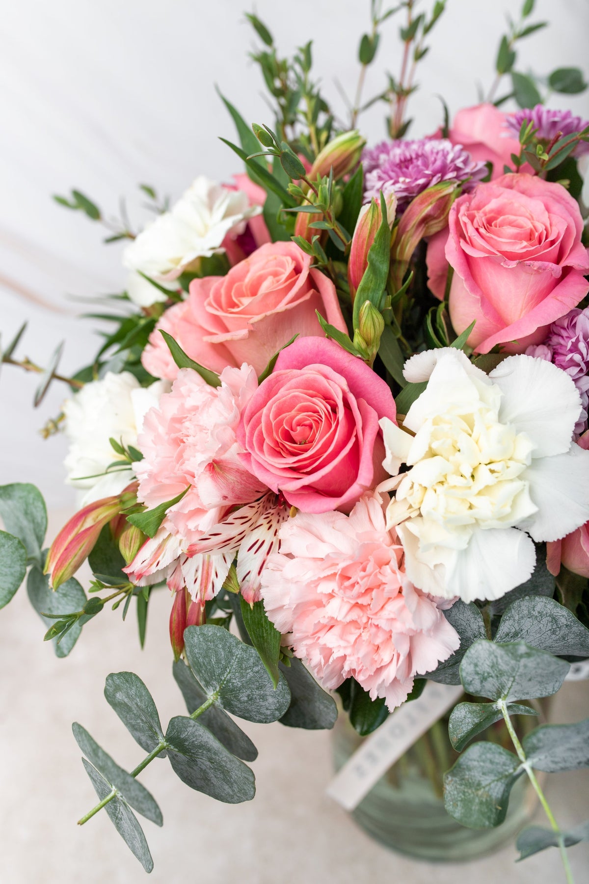 Fuego - Rosa Clarita, Clavel Rosa y Blanco ACA