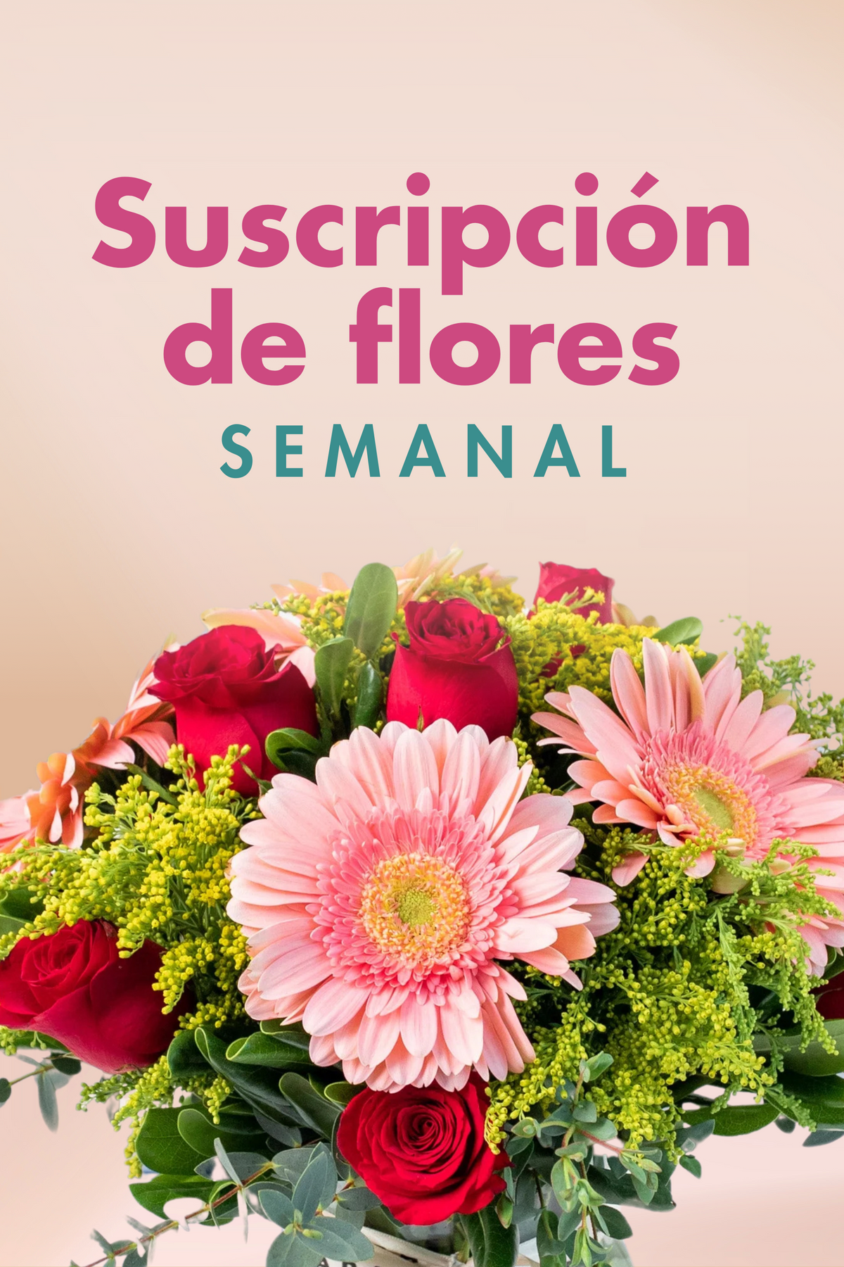Suscripción / Semanal
