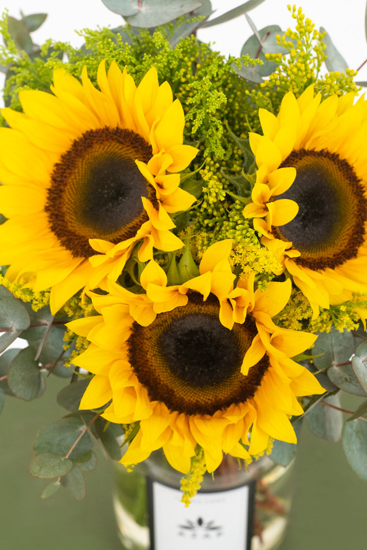 Tres motivos / Girasoles TECÁMAC