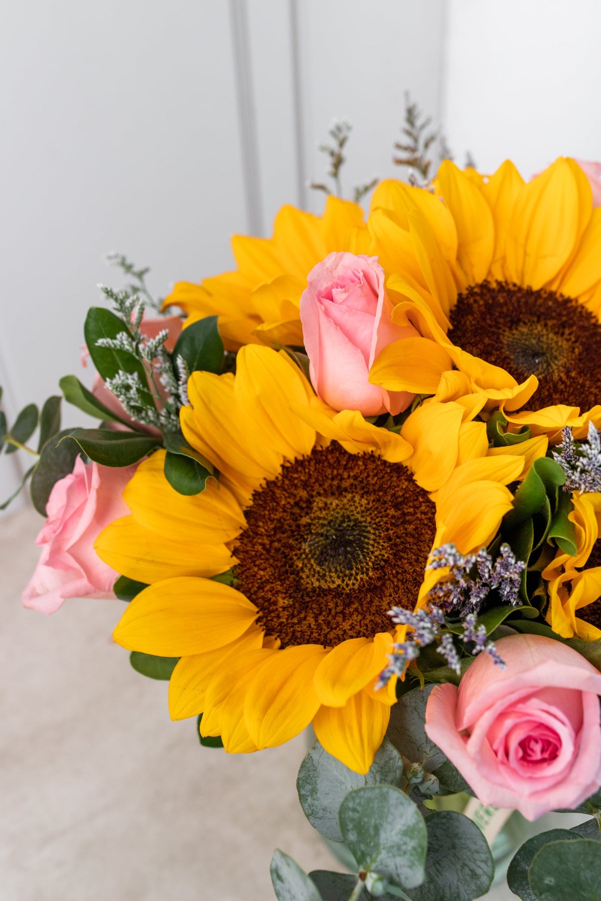 Arizona - Girasol con Rosa Clarita