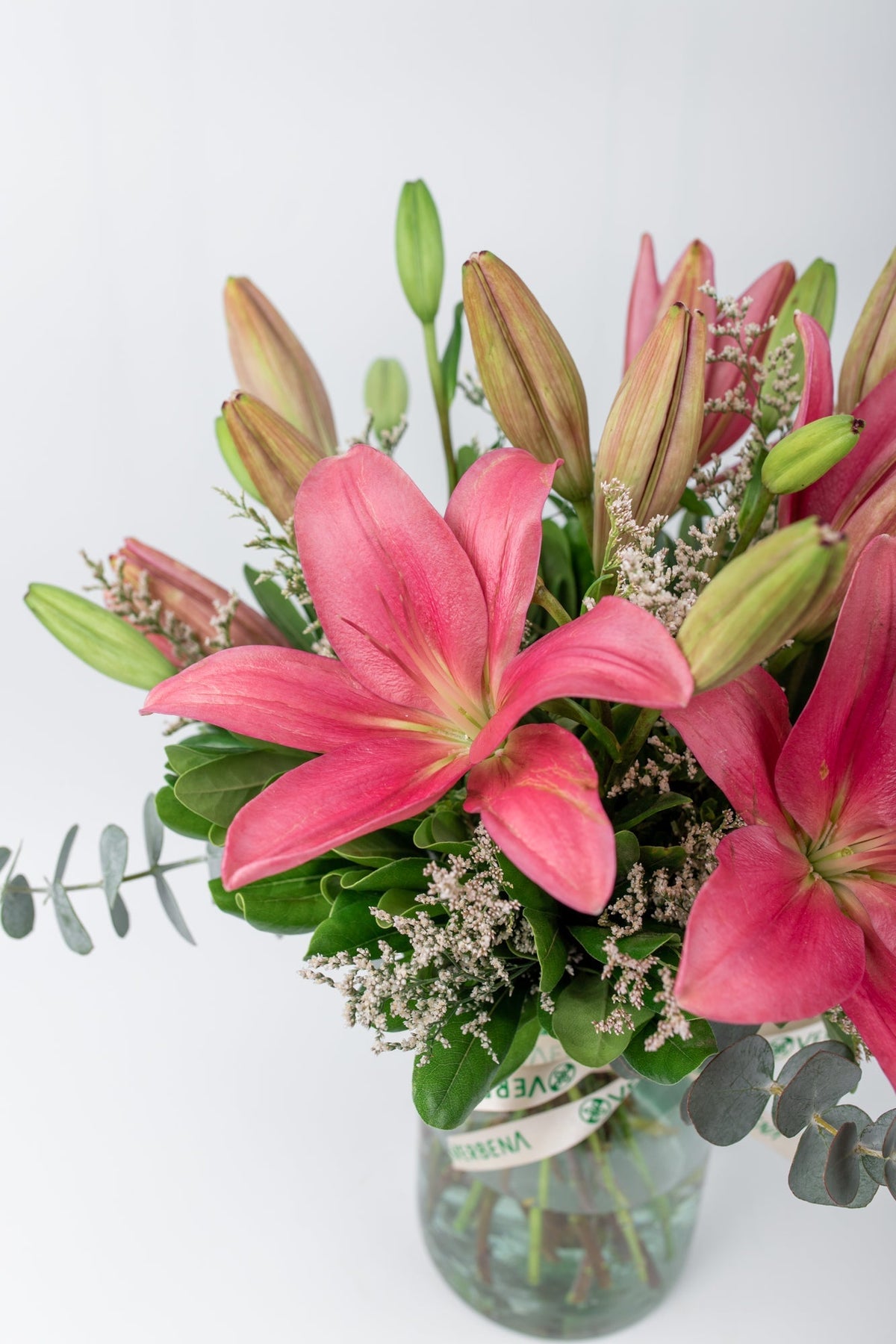 Las Brisas // Lilium Rosa SNL