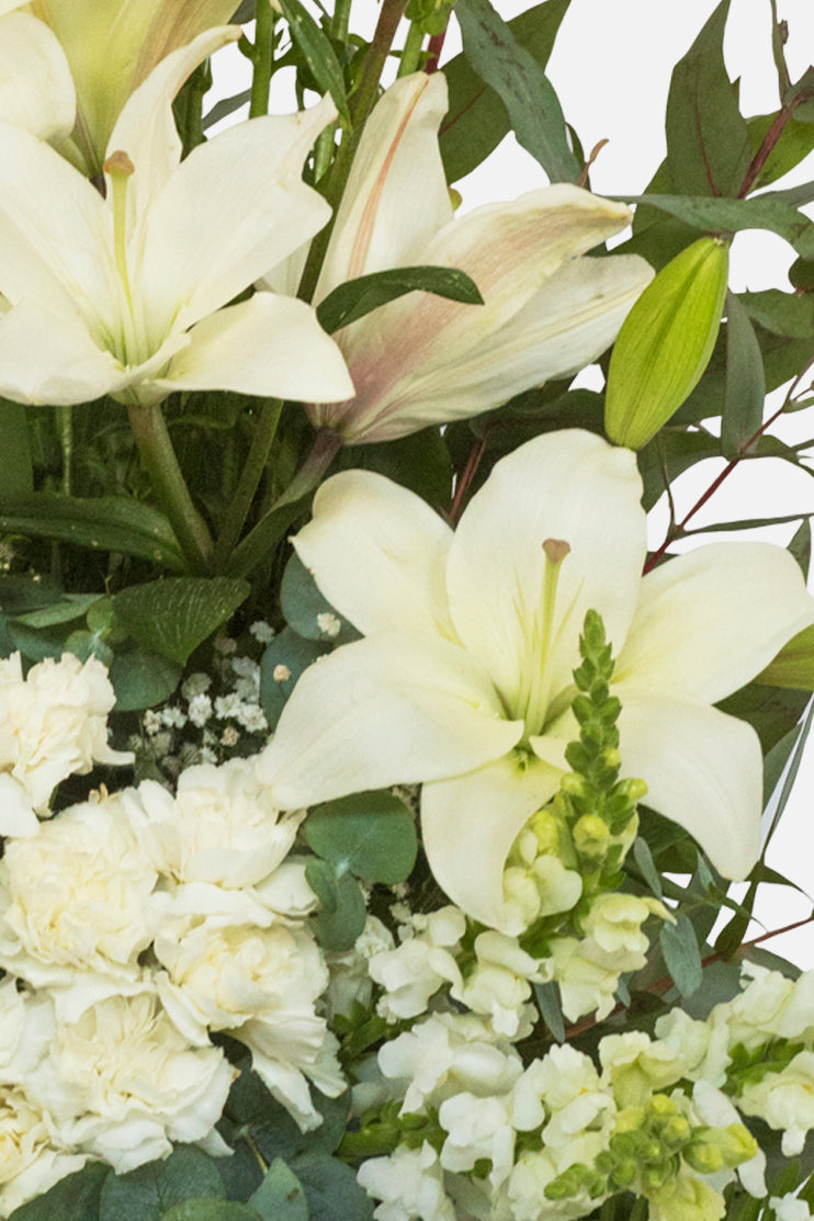 Consuelo / Lilium, Rose and White Carnation