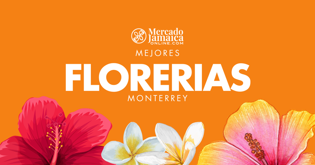 mejores florerías en Monterrey