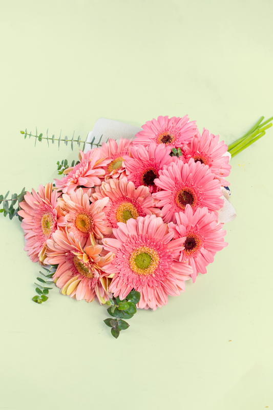 Ramo 12 Gerberas - Envoltura Yute MERIDA