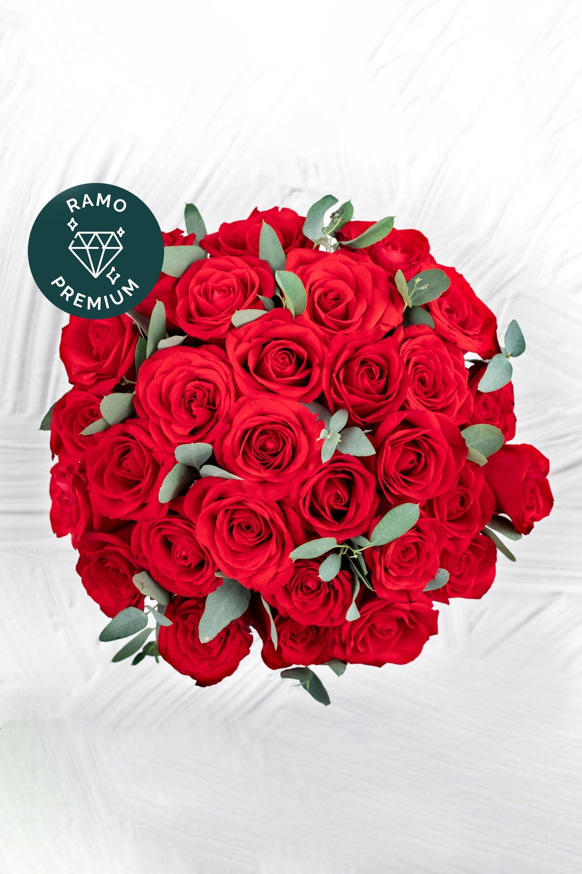 Catarina // Caja Rosas Rojas APO
