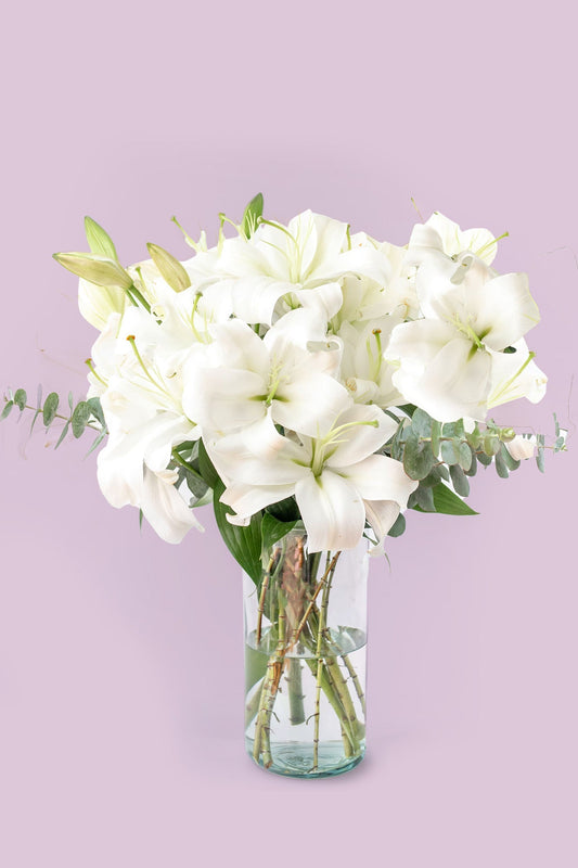 Casa Blanca - Lilium Blanca MERIDA