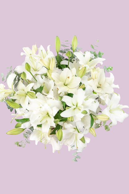 Casa Blanca - Lilium Blanca ACA