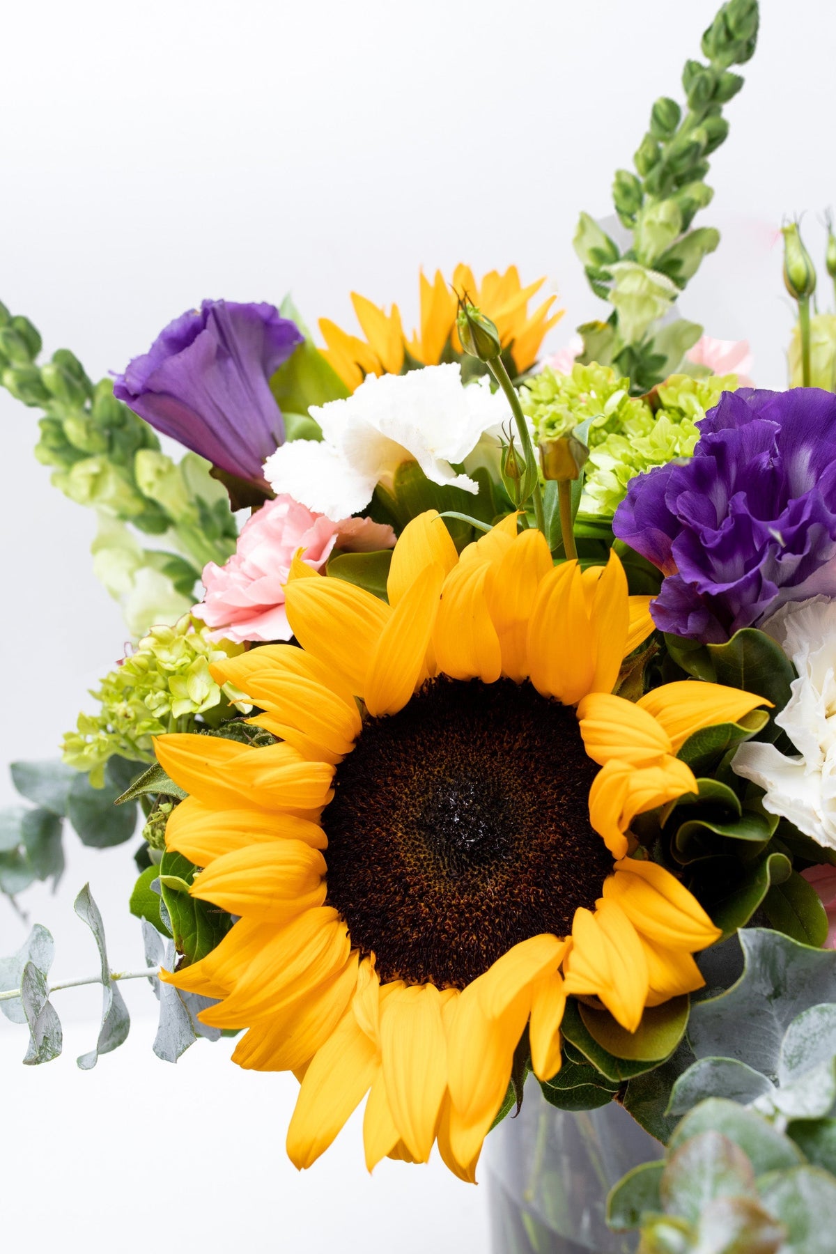 Emocionante - Girasol, Clavel Rosa y Blanco, Hortensia XAL