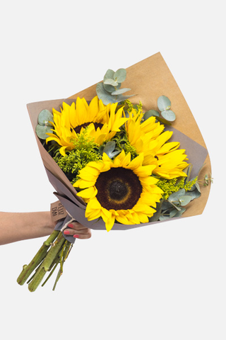 Forelsket / Girasoles IRAPUATO
