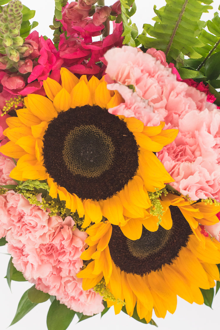 Feliz Día // Girasoles y Claveles Rosas APO