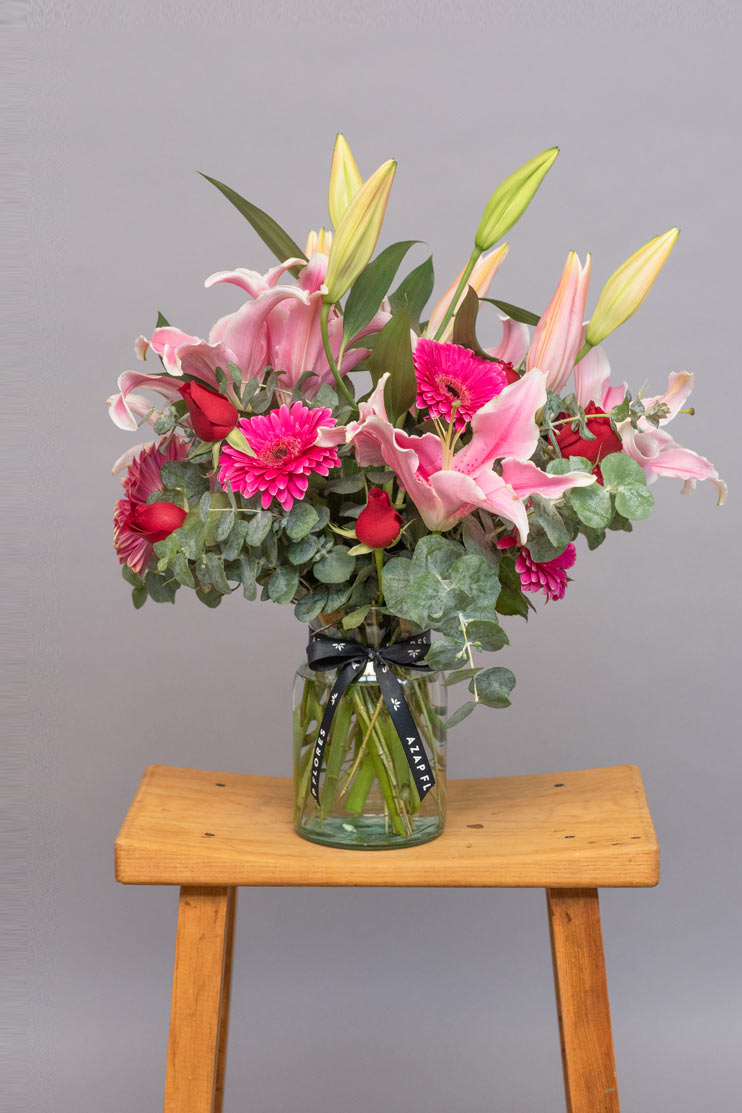 Lilium // Gerbera. SNL