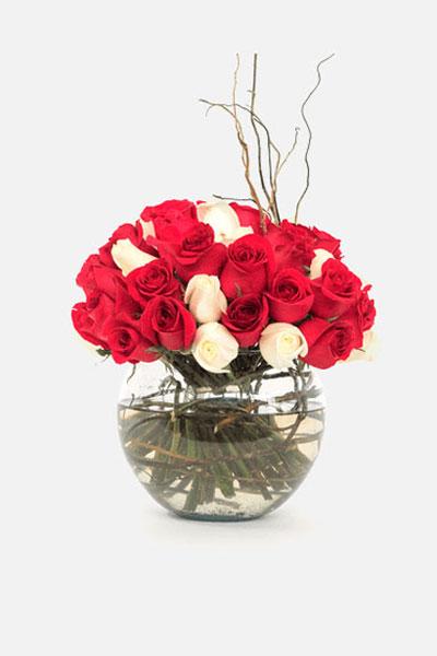 Burbujas de Amor / Rosa Roja y Blanca CEL.