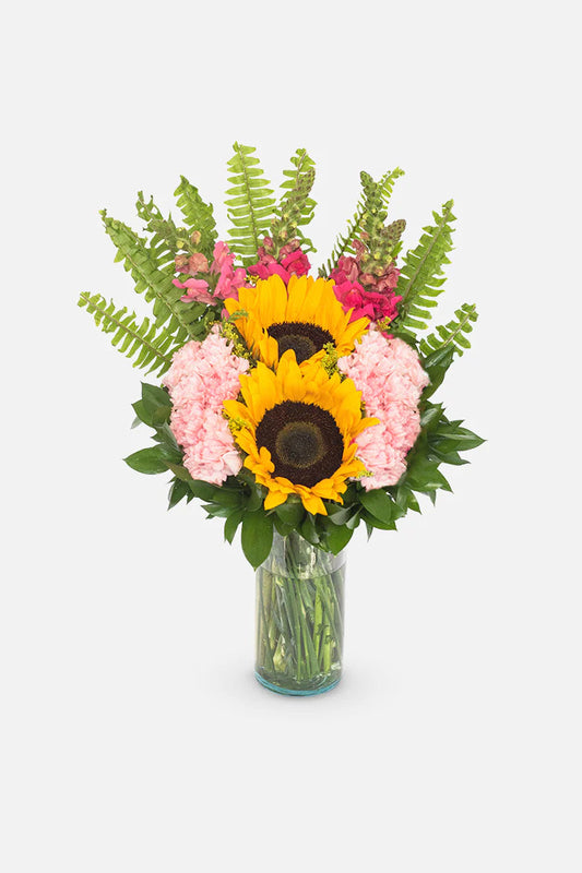 Feliz Día // Girasoles y Claveles Rosas APO