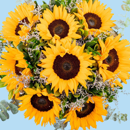 Sonrisa de Sol / Girasoles IRAPUATO
