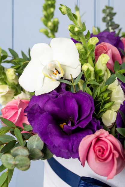 Verona - Caja de Rosas Claritas con Lisianthus y Orquídea CH/IXT