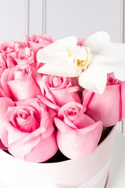 Everest - Caja de Rosas Claritas y Orquídea CH Cuau. Izc.