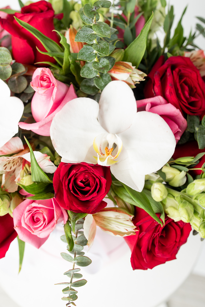 Destino - Caja de Rosas Rojas y Rosas con Orquídea Atizapán