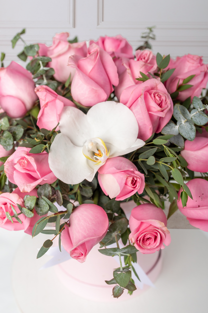 Deja Vú - Caja de Rosas Claritas con Orquídea Atizapán