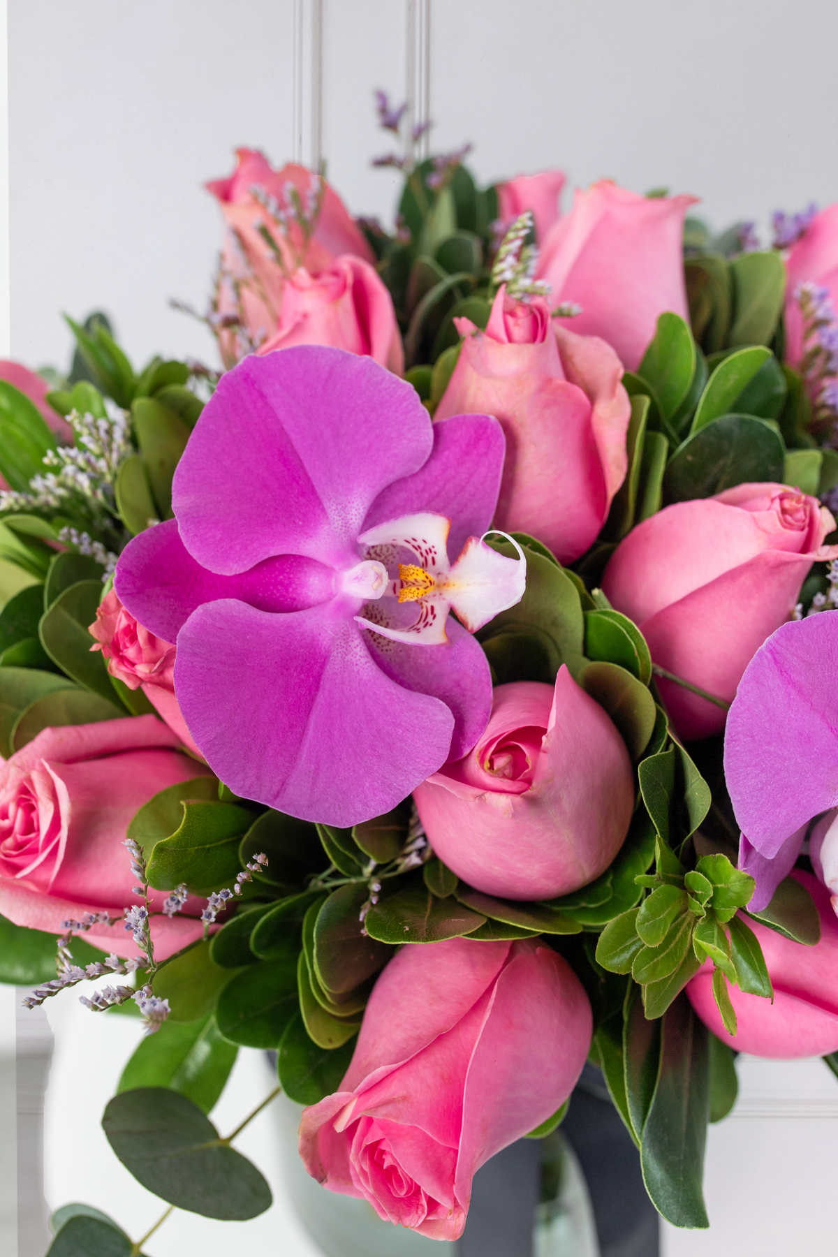 Nube Rosa - Rosa Clarita y Orquídea Morada