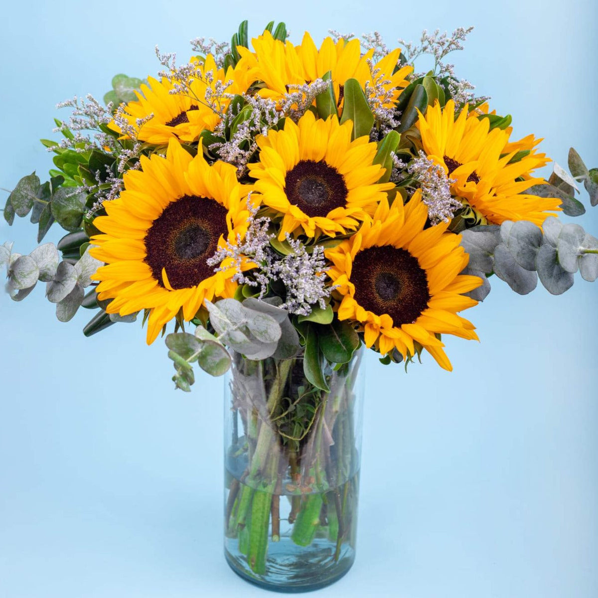 Sonrisa de Sol - Girasoles VILLA