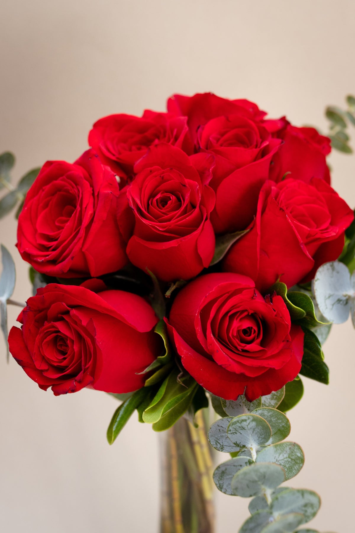 La Vida en Rosa Petite MOM - Rosa Roja ACA