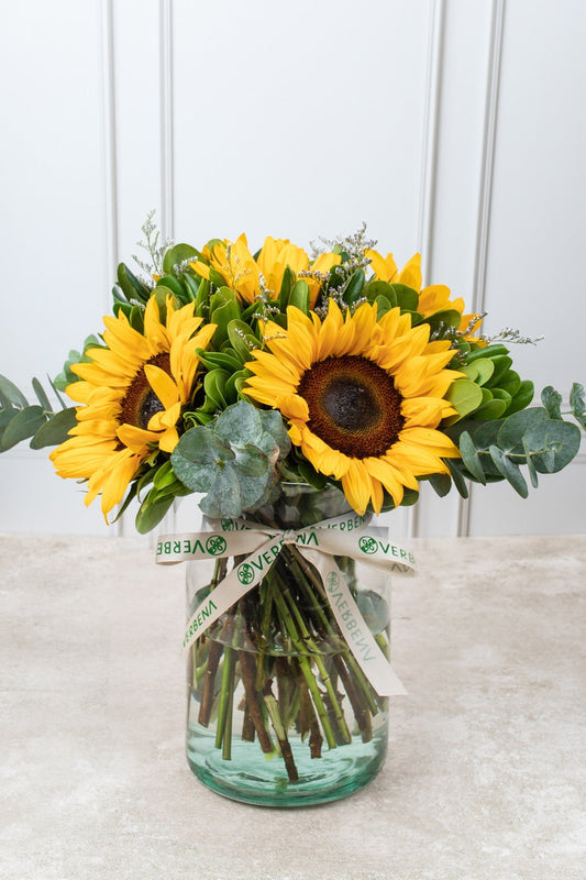Sonrisa de Sol - Girasoles MERIDA