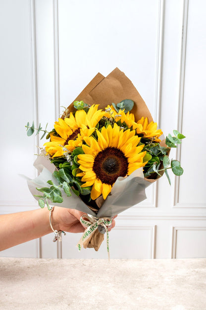 Solecito - Girasoles ACA