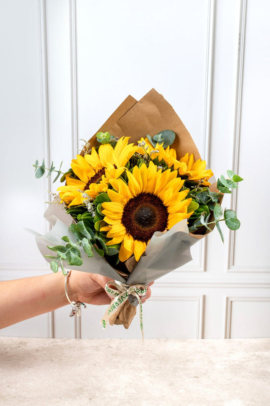 Solecito - Girasoles ACA