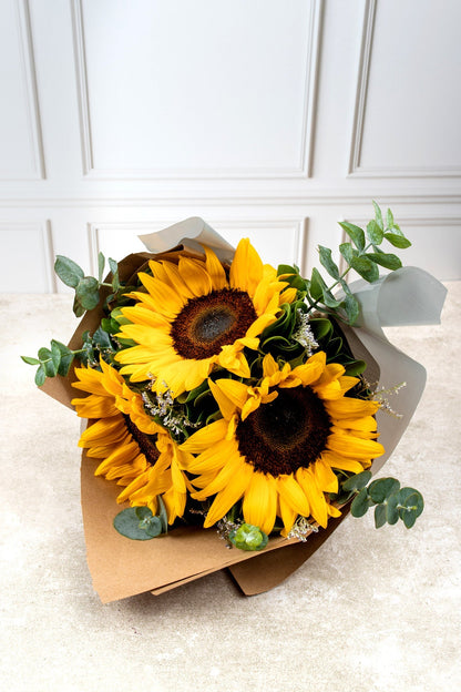 Solecito / Girasoles IRAPUATO
