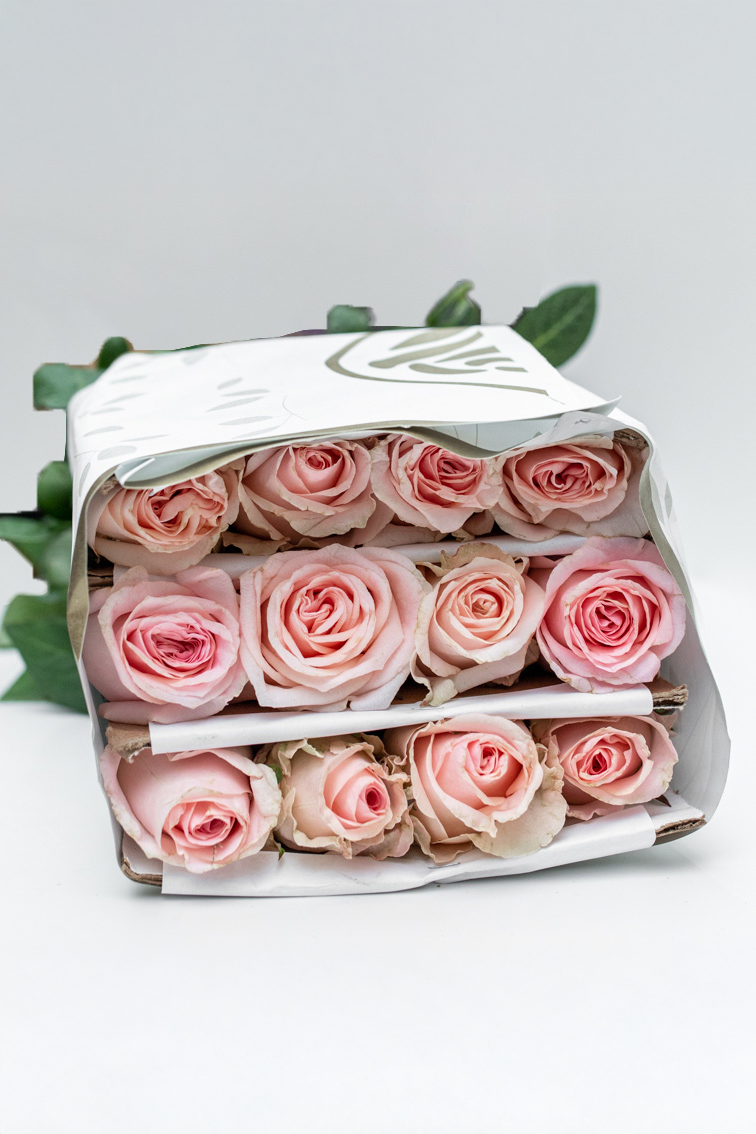 Pack of 24 Pink Roses (Caress)