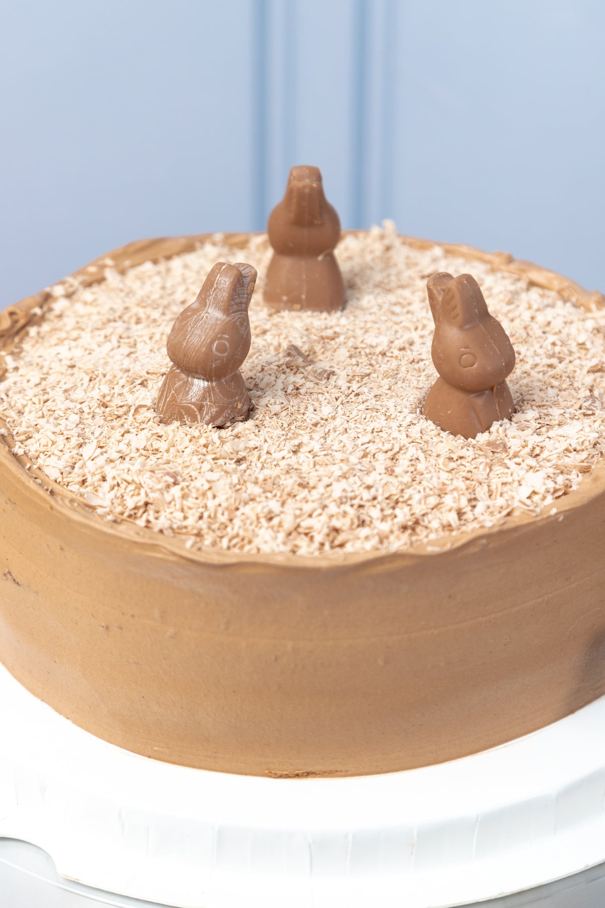 Large Turin Bunny Cake - Chocolate