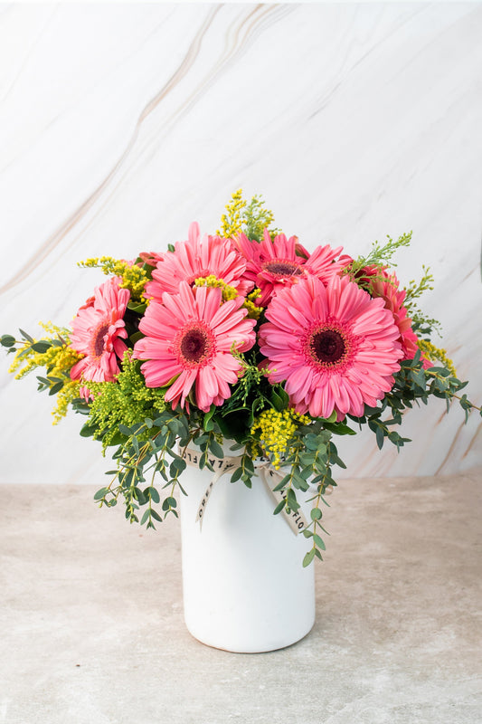 Chispitas de Gerberas - Gerbera Rosa TGZ