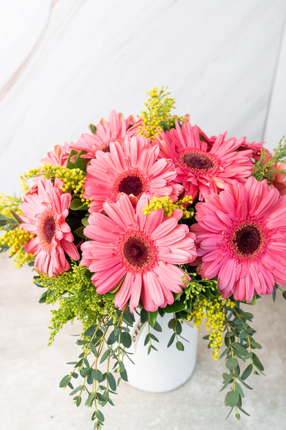 Chispitas de Gerberas - Gerbera Rosa MERIDA