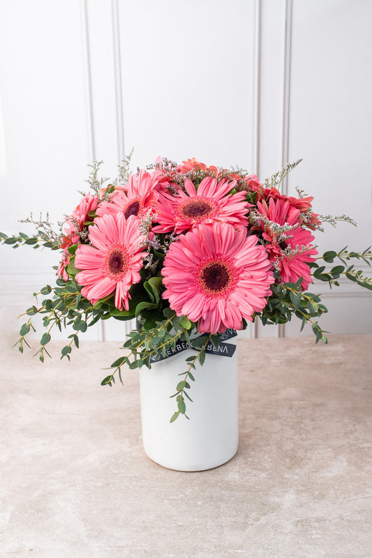 Dulce Primavera - Gerbera Rosa TGZ