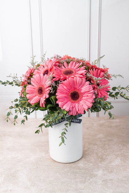 Dulce Primavera - Gerbera Rosa VILLA
