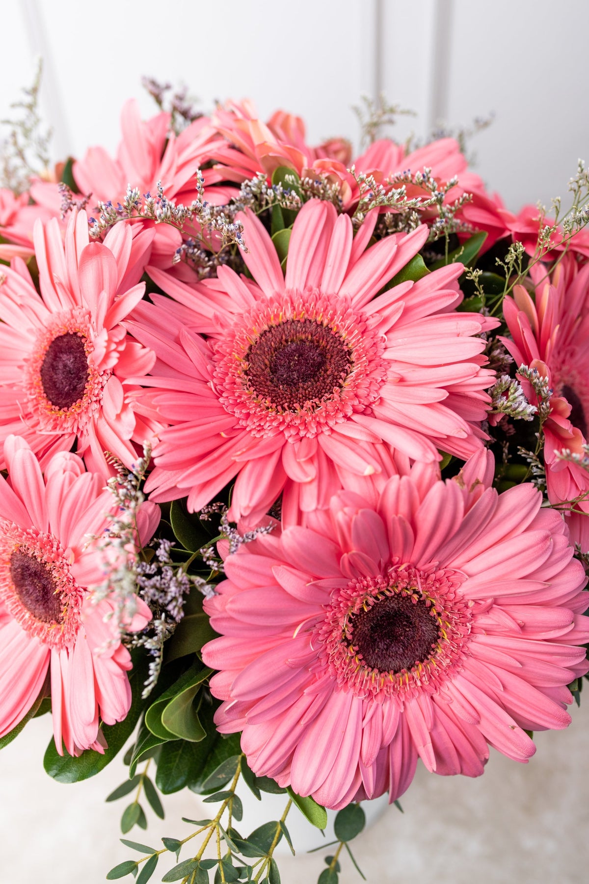 Dulce Primavera - Gerbera Rosa VILLA