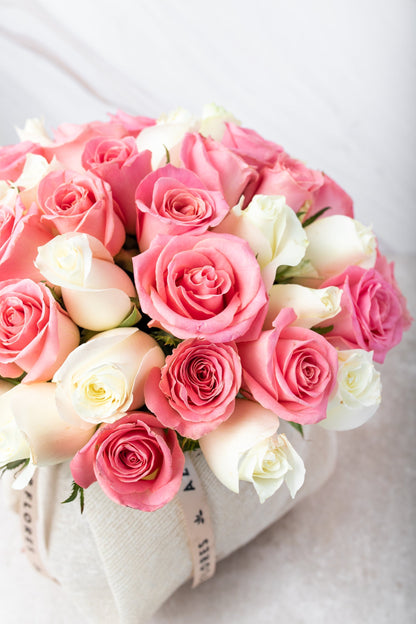 Burbuja de Rosas // Rosas Blancas y Claritas SNL