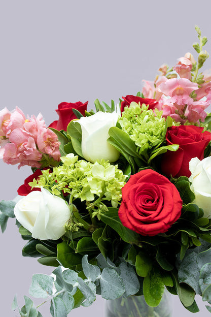 Momentos // Rosa Blanca y Roja, Hortensia APO