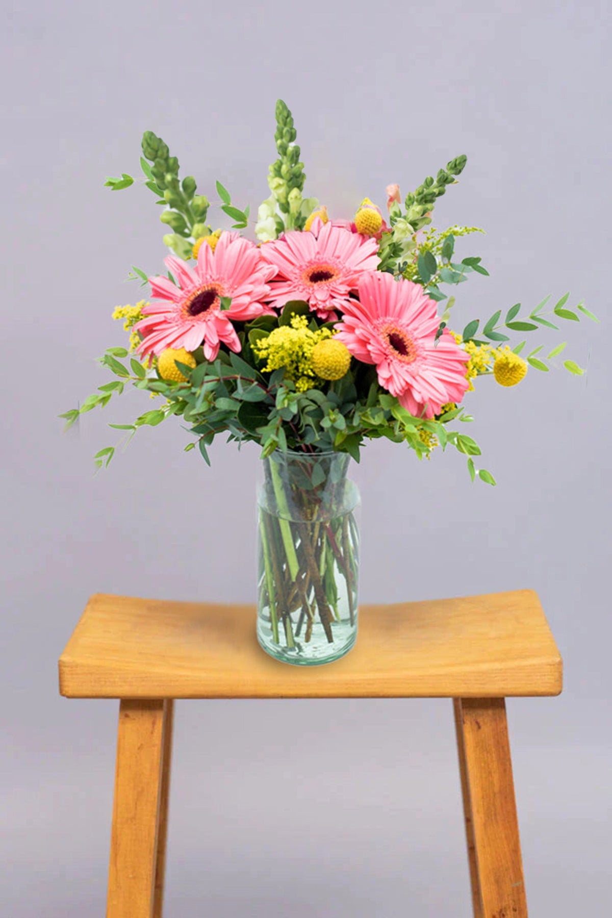 Optimista / Gerbera Rosa, Craspedía Amarilla CEL.