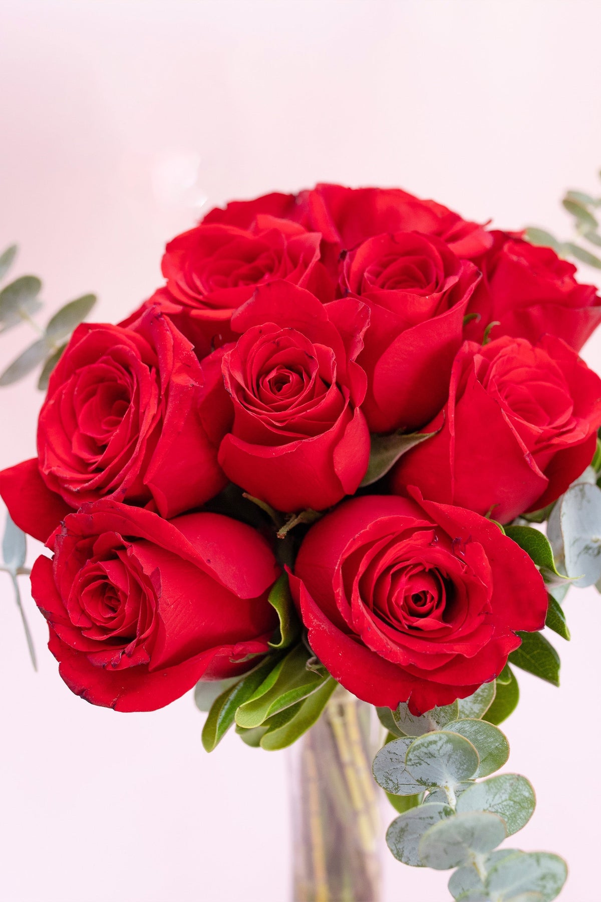 12 Rosas Rojas - Flores ACA