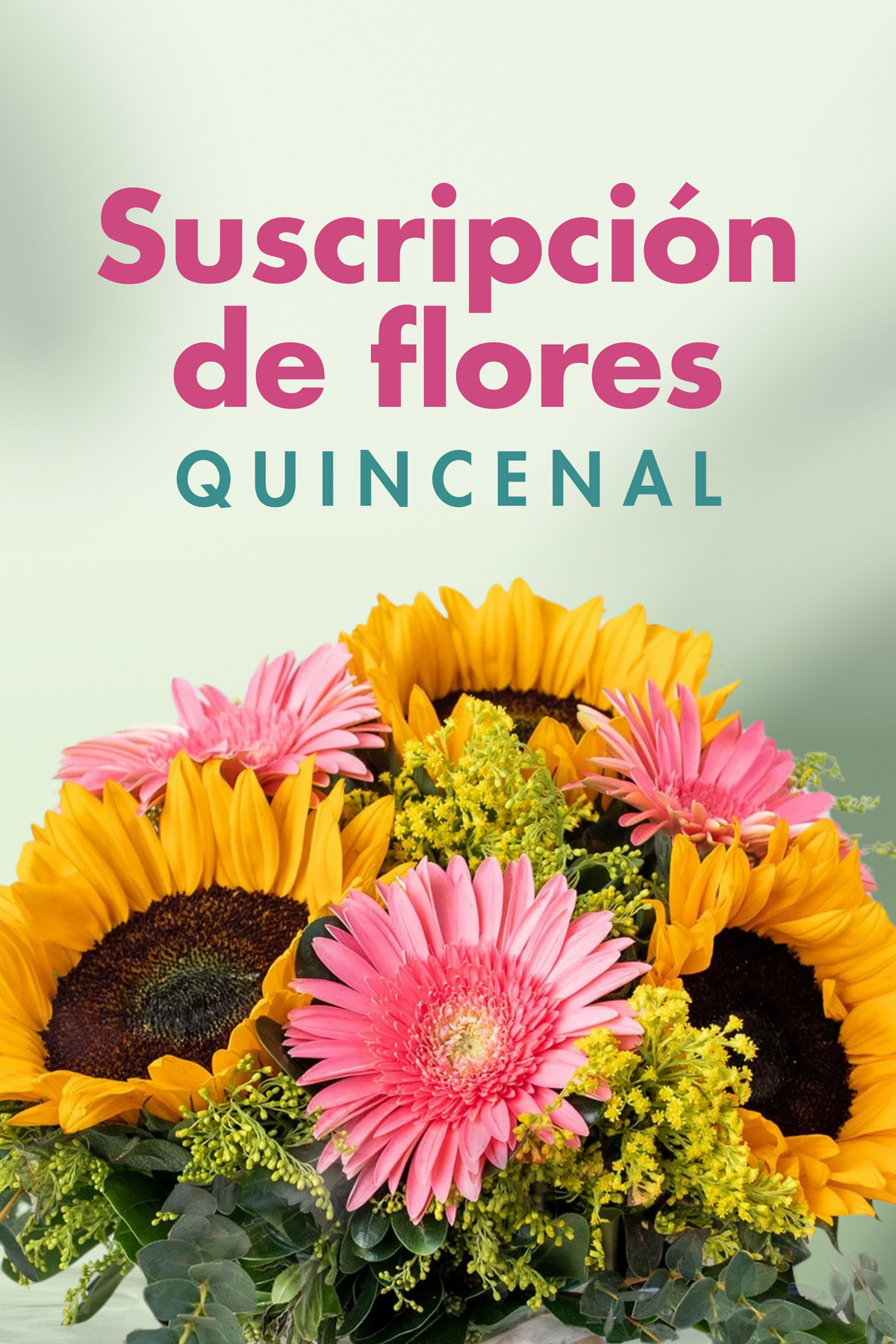 Suscripción / Quincenal GDL