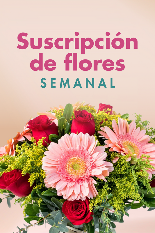 Suscripción - Semanal CUN