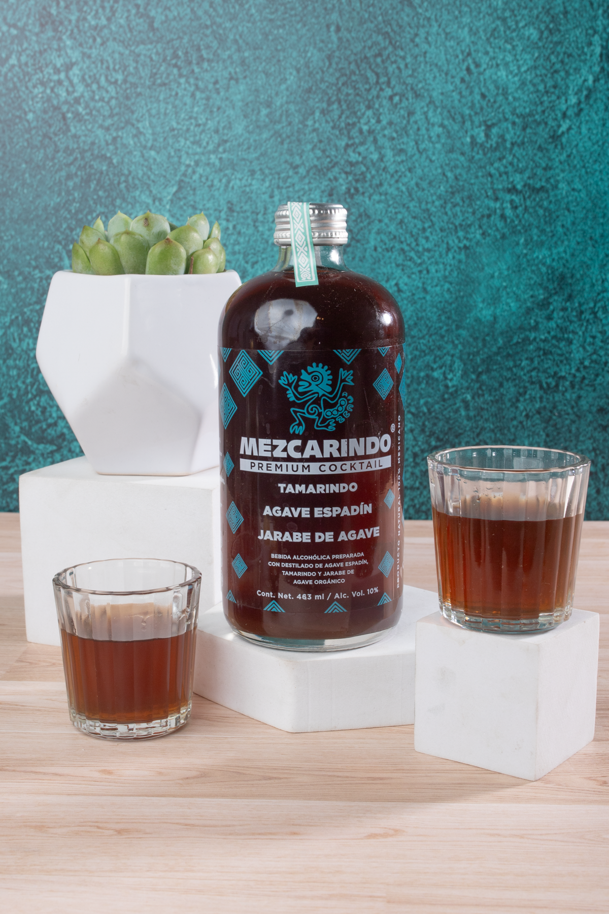 Mezcarindo Kit - Mezcal, Chocolates, Peanuts and Succulent