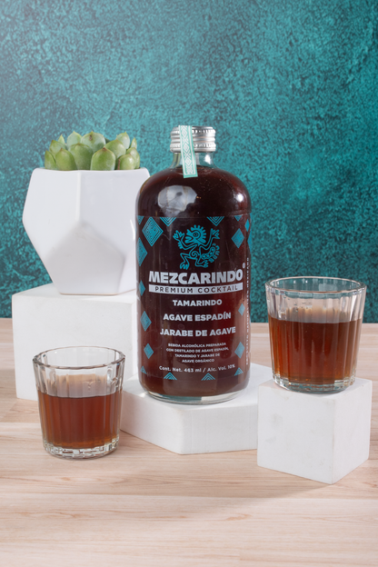 Mezcarindo Kit - Mezcal, Chocolates, Peanuts and Succulent
