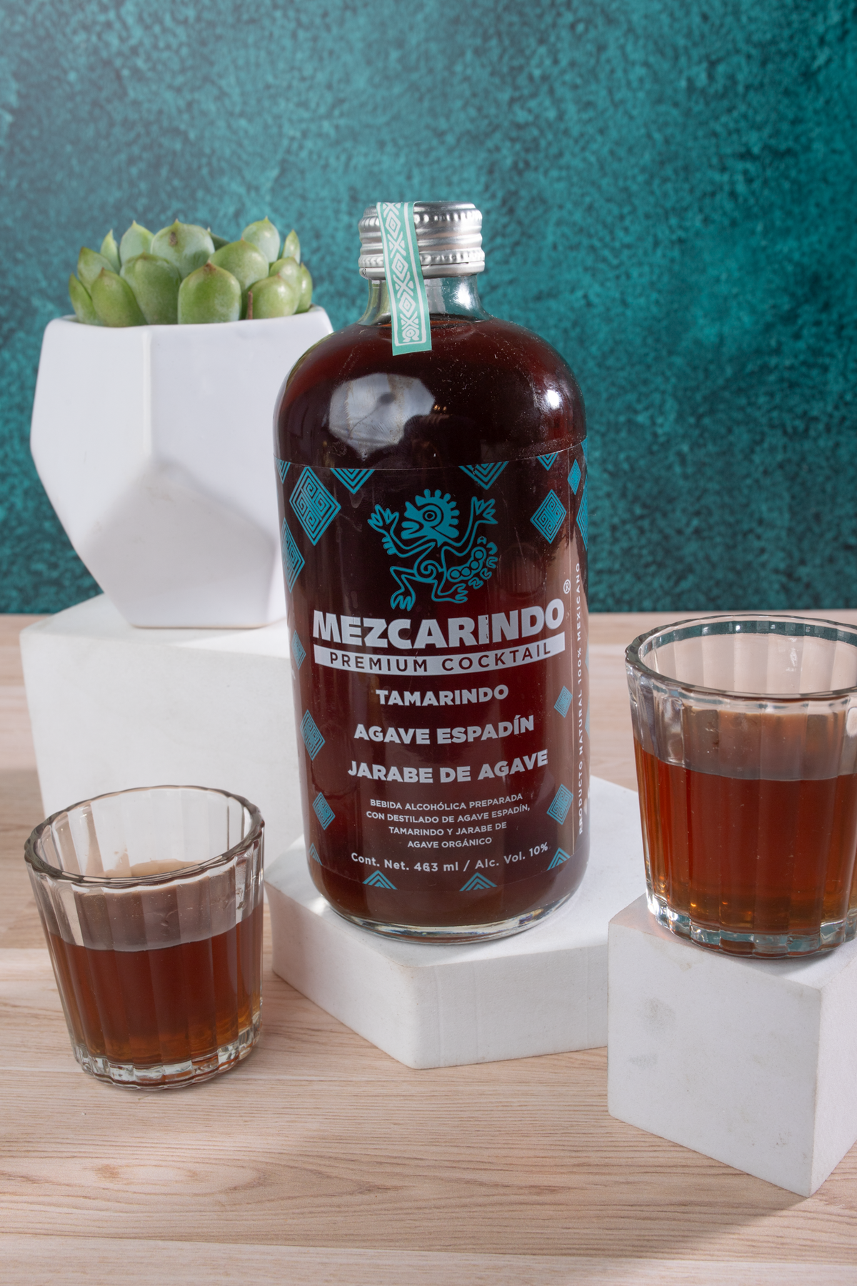 Mezcarindo Kit - Mezcal, Chocolates, Peanuts and Succulent