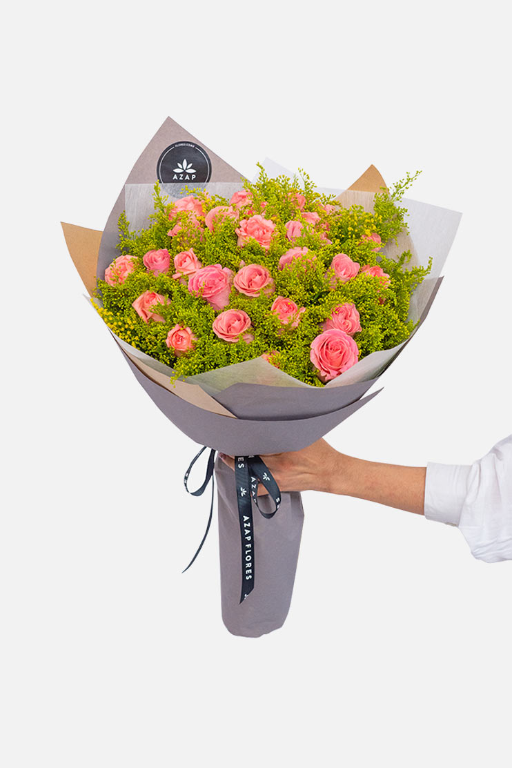 Funny // Rosa Clarita and Solidago SNL