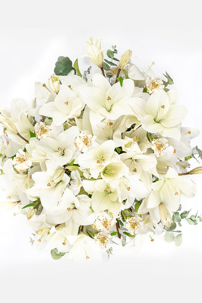Cotton // White Lilium and White Alstroemeria PYC