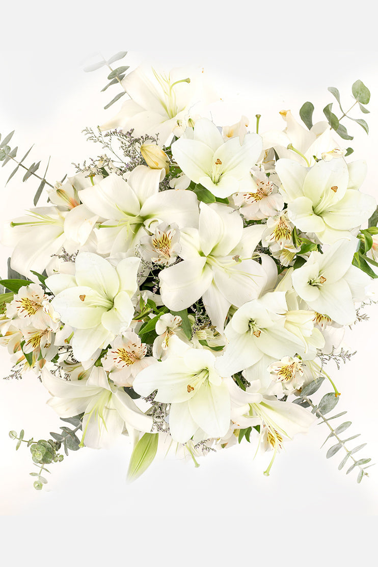 Cotton // White Lilium and White Alstroemeria PYC